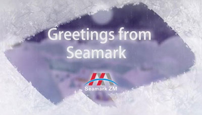 Приветствия команды Seamark