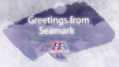 Приветствия команды Seamark